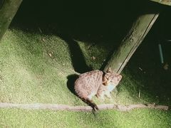 -呀路古热带植物园