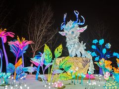 -武汉园博园(武汉自然博物馆)