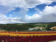-富田农场