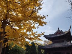 -钱王祠