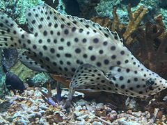 -福州罗源湾海洋世界旅游区