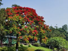 -广州莲花山旅游区