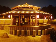 -观唐（国际）度假村温泉