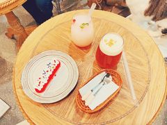 -共舞时光猫咖·狗咖(新街口店)