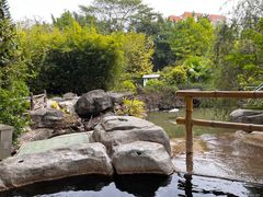 -河源客天下-温泉小镇