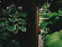 -斯多格书乡(北京大学畅春园店)