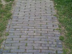 -蜀冈西峰生态公园