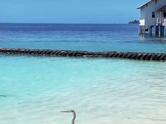 -中央格兰德岛温泉度假酒店 - 全包