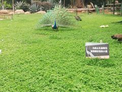 -昆明动物园