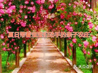 南京|夏日带着宝宝们动手的亲子小农庄