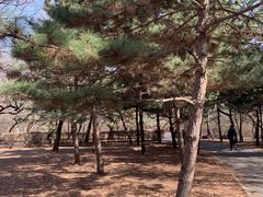 -北陵公园
