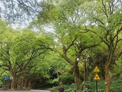 -普陀山风景名胜区-法雨禅寺
