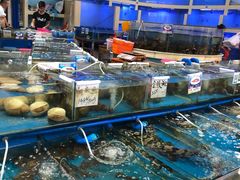 水产区-三亚新鸿港水果一级批发市场