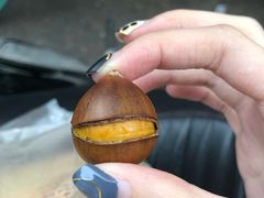 -杨记板栗(天虹总店)