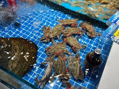 -渔港甄宴·海鲜·地标烟台菜(金沙滩店)