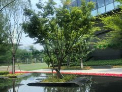 -青麦家·融合餐厅(江岛智立方店)
