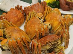 -王宝和酒家(黄浦店)