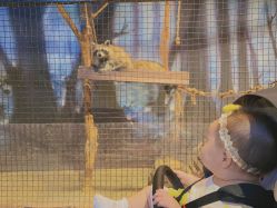 -酷嗒动物文化乐园(cutezoo西溪乐天城店)