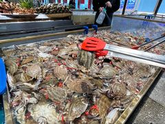 -半岛听涛蒸汽海鲜自助(K11店)