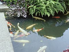 -聚福宝合苑食府(南头镇店)