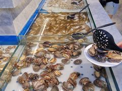-川骄海鲜自助(河东店)