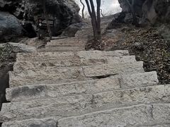 -北京西山国家森林公园