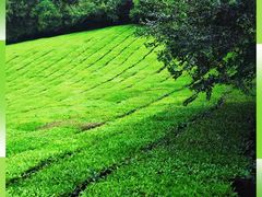 -敬亭山风景名胜区