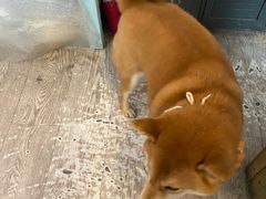 -小时光咖啡馆(北锣鼓巷店)
