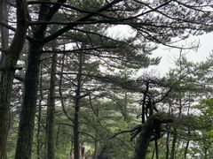 -罗田薄刀峰风景区