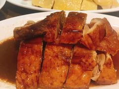 -熠盛粤味·顺德桑拿鸡(永康路店)