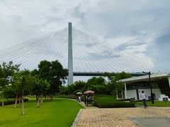 -芒洲湿地公园