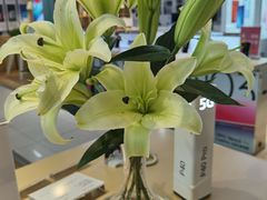 -苏宁易购(Suning Pro北京立水桥店)