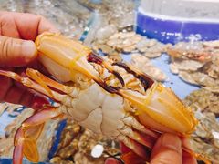 -澜悦港海鲜体验主题餐厅
