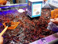 小龙虾-盒马X会员店(王府井奥莱UP TOWN店)