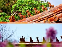 -故宫博物院(故宫)