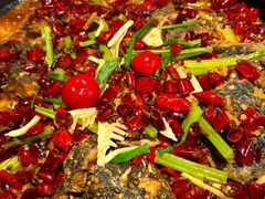 -老板恋上鱼(恒隆广场店)