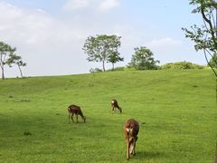 -良渚古城遗址公园