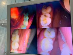 -土豆口腔(凤凰北总店)