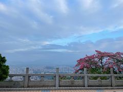 -风云岭森林公园