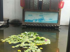 -膳和缘炒鸡店(南门路店)