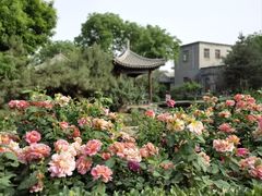 -三里河公园