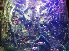 -杭州开元森泊度假乐园