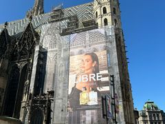 -斯蒂芬主教座堂(Stephansdom)
