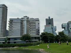 -深圳人才公园