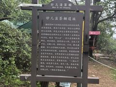 -阳台山自然风景区