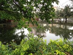 签到图片-美视五月花高尔夫度假酒店(滨海西店)