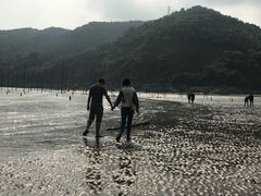 -北岐滩涂