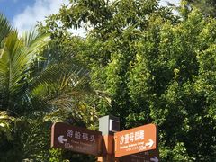 -南诏风情岛