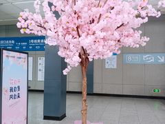 -黄浦路(地铁站)