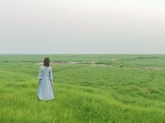 -湖南东洞庭湖国家级自然保护区